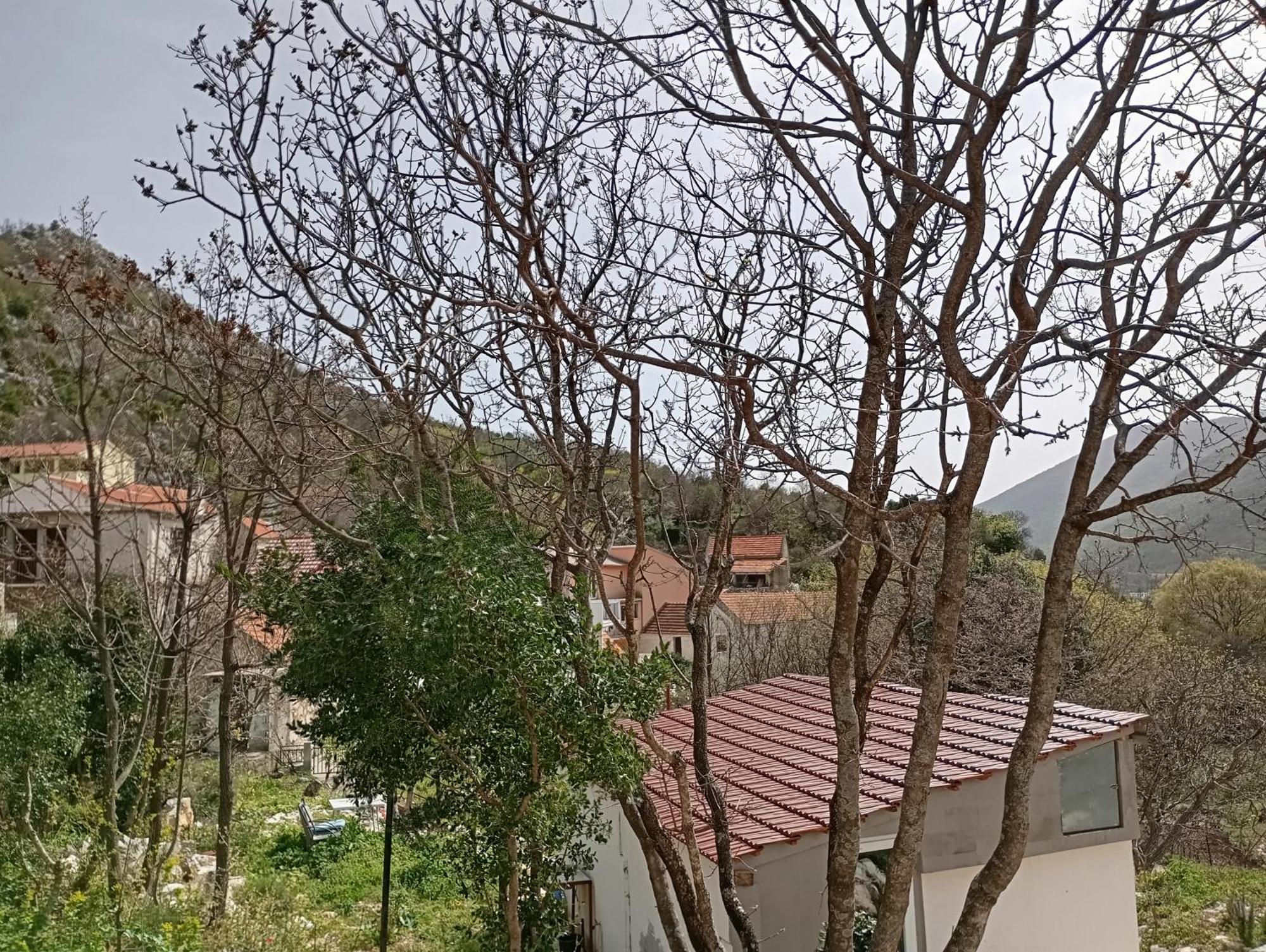 Biokovo Smaller Object 22 M2 Apartment Makarska
