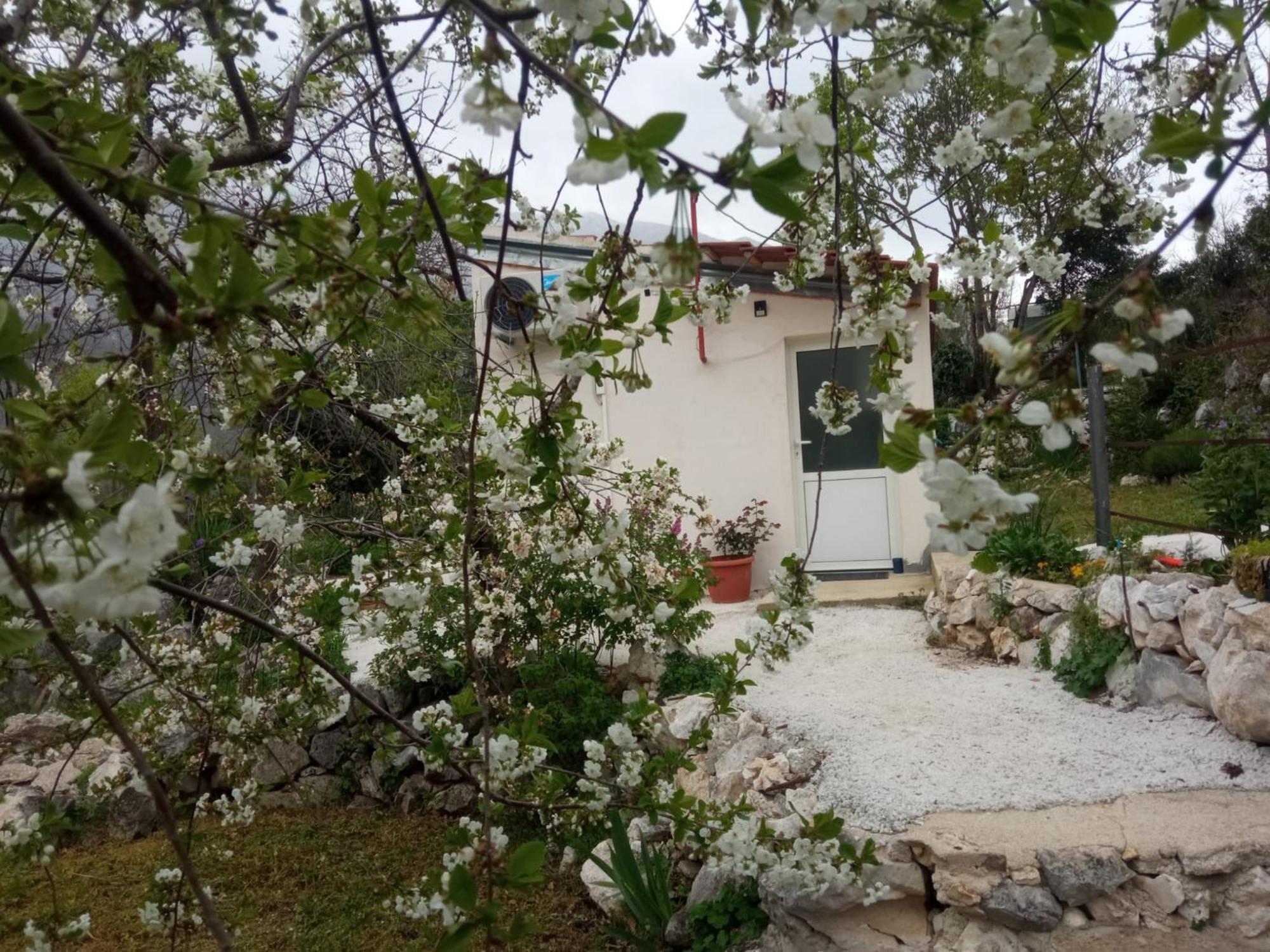 Apartment Biokovo Smaller Object 22 M2